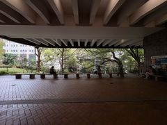 -香港大学