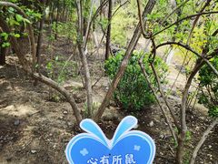 -佛慧山