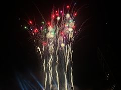 -花博汇(知音花月夜)