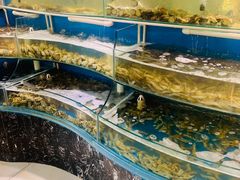 -四海蒸鲜蒸汽海鲜自助(北戴河店)