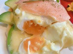 -Magnet磁食(同德店)