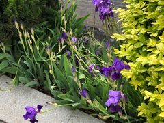 -西安华清御汤酒店