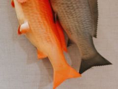 -鱼满舱·鲜活海鲜·正宗鲁菜