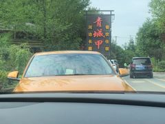 -青城甲(青城山店)