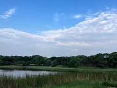 -福建鲤鱼洲酒店