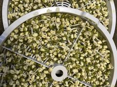 -莲塘味宝园牛杂(天越翔园店)