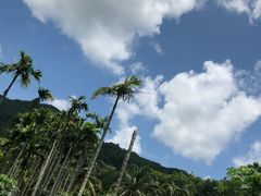 -呀诺达热带雨林