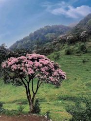 -美肤盾祛痘·问题肌头疗管理中心