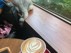 -咖法森林·咖啡  酒吧(天河店)