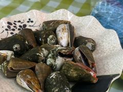 -杨梅坑渔村海鲜餐厅