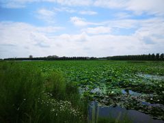 -呼兰河口湿地公园