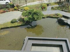 -雅苑中餐厅