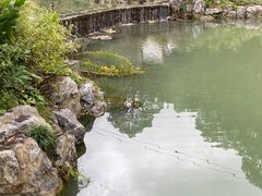 -灵栖洞天