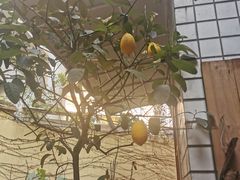 -懒鱼时光馆(沙坪坝店)