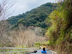 -龙岩森林水乡景区