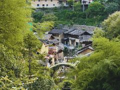 -杨家堂村
