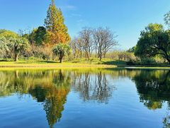 -上海共青森林公园