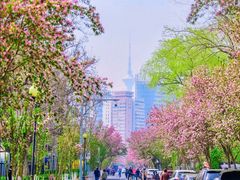-天津五大道文化旅游区