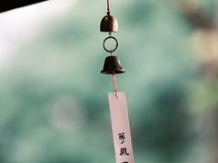 -松池一夏咖啡商铺