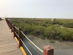 -北海金海湾红树林生态旅游区