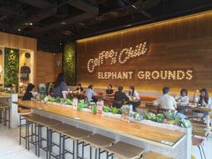 -大象园 ELEPHANT GROUNDS(广州太古汇店)