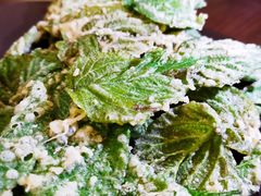 -boundaries籬苑(瑞光创意工厂-贰号院店)