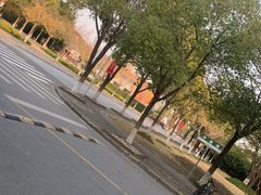 -华东政法大学(松江校区)