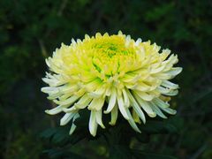 -北京植物园-展览温室