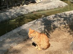 -红螺寺