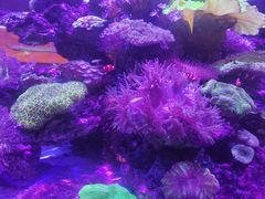 -上和臻品中国菜(花园街店)