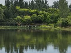 -东郊湿地公园
