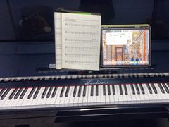 -大象音乐·吉他·架子鼓·声乐(双井店)