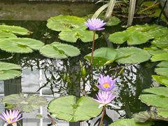 -国家植物园南园