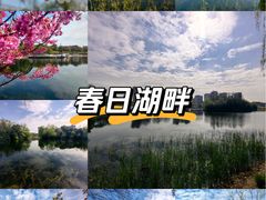 -新江湾城公园