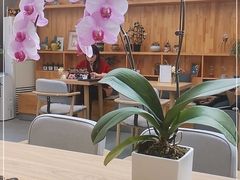 -十一咖啡(青年大街工厂店)