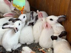 -珠海海泉湾神秘岛亲子乐园