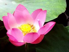 -天津东丽湖风景区