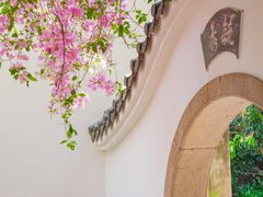 -深圳国际园林花卉博览园