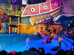 -烟台海昌鲸鲨海洋公园