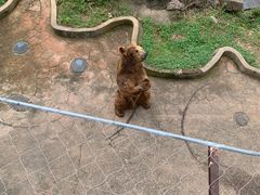 -无锡动物园·太湖欢乐园