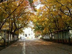 -山东农业大学(岱宗校区)