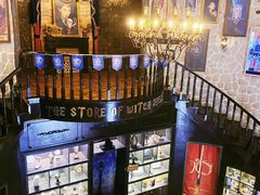 -雪灵魔法世界SHELLY’S TAROT(大良桂畔里店)