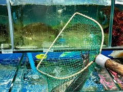-牟记江湖重庆地标特色菜鱼蛋海鲜无刺鲫鱼(巴南区黑金冠十多年好店)