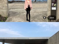 -涉地可支