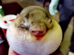 -永安鱼庄·镇江菜(东吴路店)