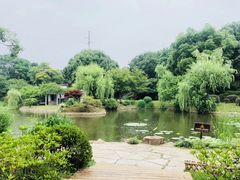 -尚贤河湿地