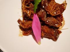 -权茂上海菜(殷行路店)