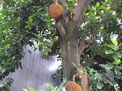 -名苑皇宫酒家(来魅力壁画村店)