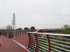 -王借岗森林公园