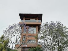 -张坝桂圆林公园
